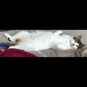 I want to let all the customers my ship time